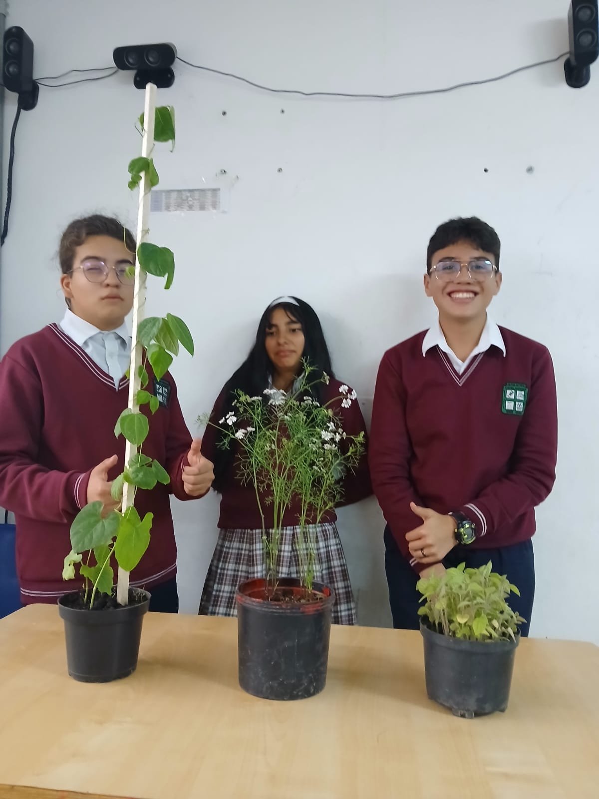 Foto de Oscar A. Moreno C_(1)